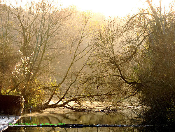 Après la crue de novembre 2013
